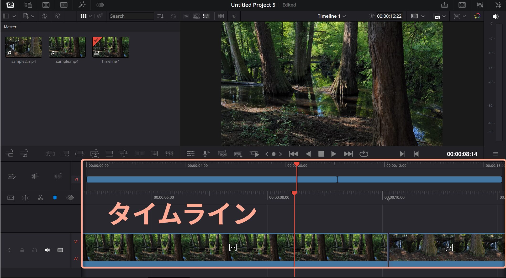 DaVinci Resolveの編集画面で、森林の動画素材をタイムラインに配置し、カット編集と再生位置の確認を行っている様子。