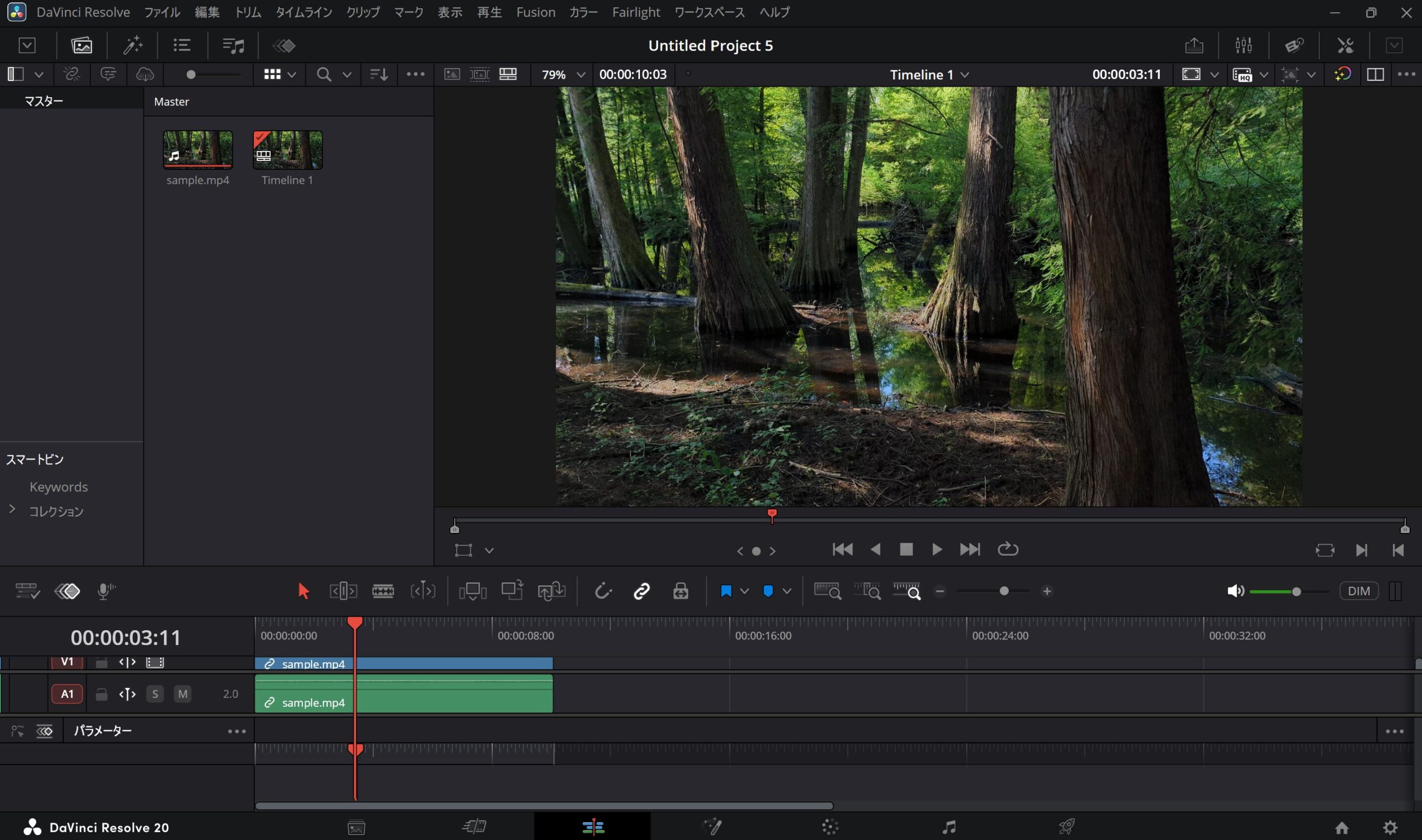 DaVinci Resolveの編集画面で、森林の動画素材をタイムラインに配置している様子。メディアプール、プレビュー画面、映像トラックと音声トラックが表示されている。
