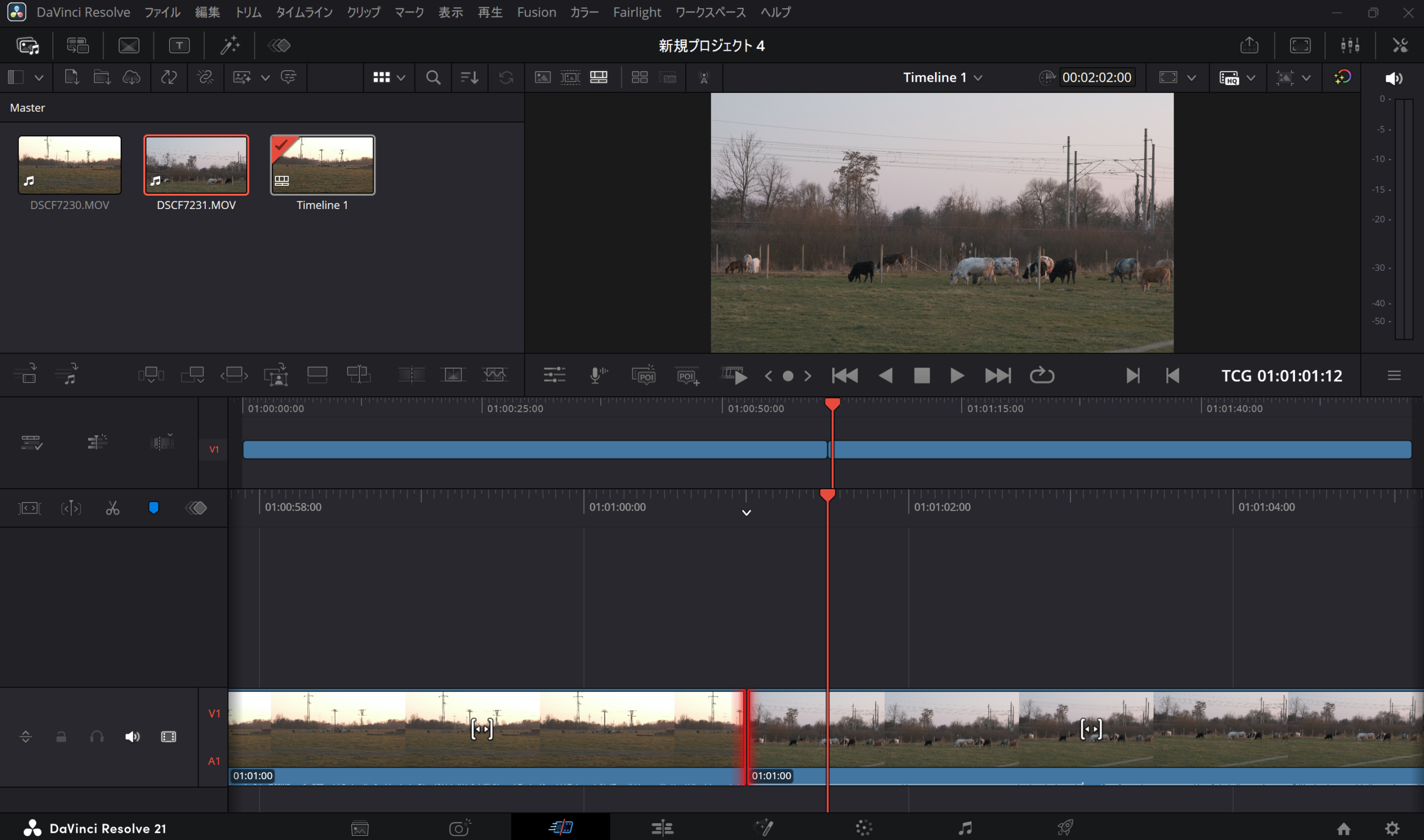 DaVinci Resolveで2つの動画クリップを同じタイムラインに並べ、1本の動画としてつなげている編集画面