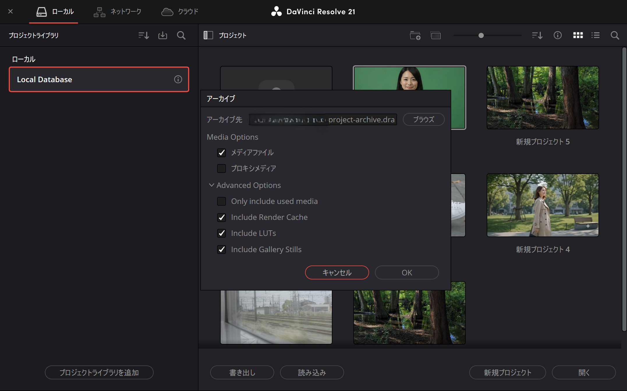 DaVinci Resolve 21のプロジェクトアーカイブでメディアファイルやプロキシ、レンダーキャッシュ、LUTを選択する画面