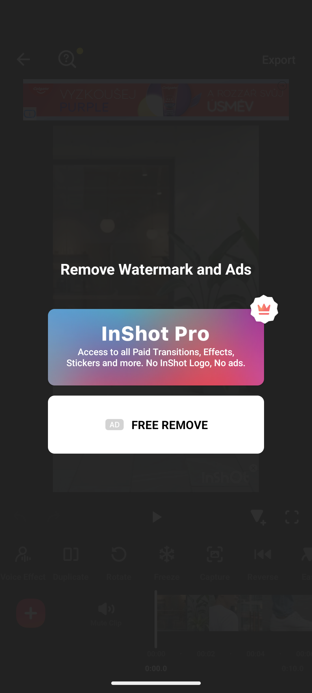 InShotのウォーターマーク削除画面でProへの加入と広告視聴による無料削除を選ぶメニュー